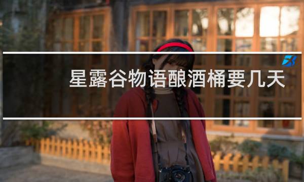 星露谷物语酿酒桶要几天