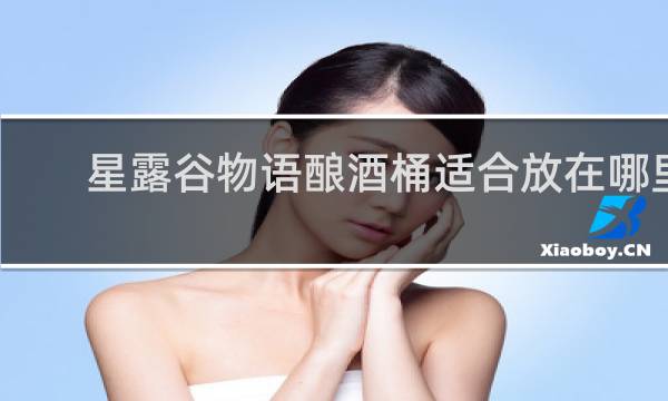 星露谷物语酿酒桶适合放在哪里