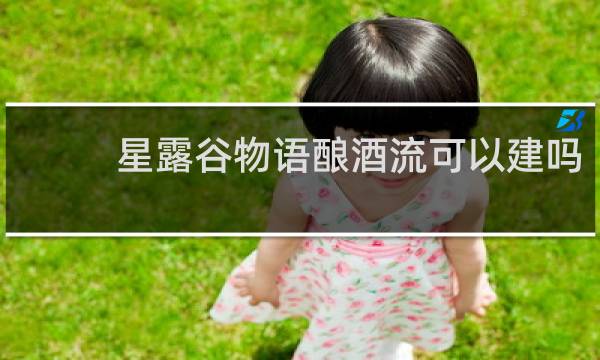 星露谷物语酿酒流可以建吗