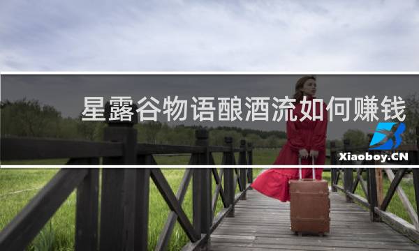星露谷物语酿酒流如何赚钱