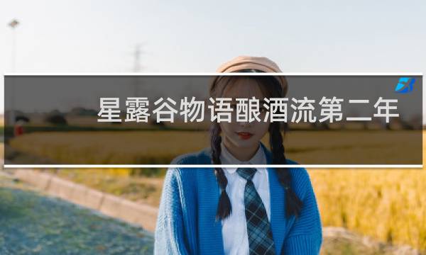星露谷物语酿酒流第二年