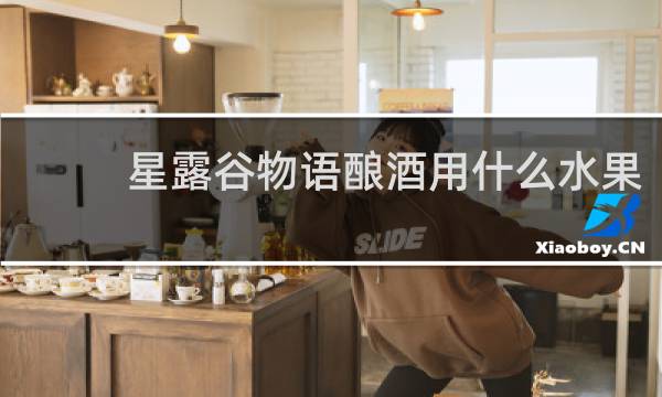 星露谷物语酿酒用什么水果