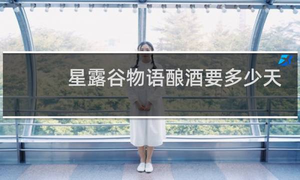星露谷物语酿酒要多少天