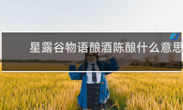 星露谷物语酿酒陈酿什么意思