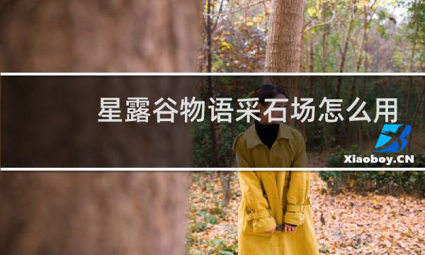 星露谷物语采石场怎么用
