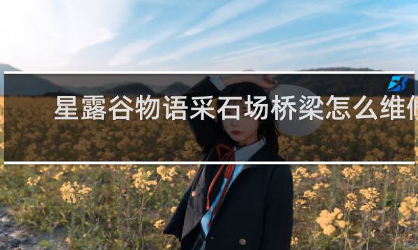 星露谷物语采石场桥梁怎么维修