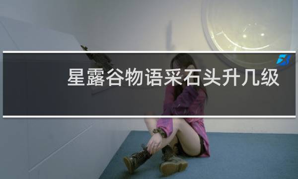 星露谷物语采石头升几级