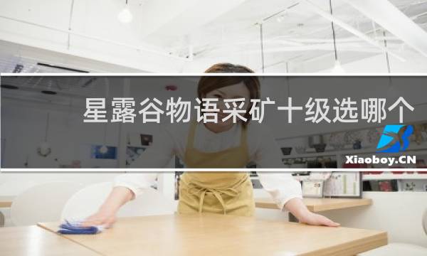 星露谷物语采矿十级选哪个