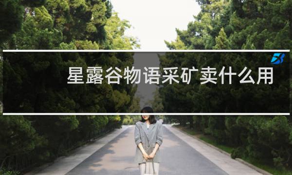星露谷物语采矿卖什么用