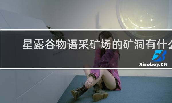 星露谷物语采矿场的矿洞有什么