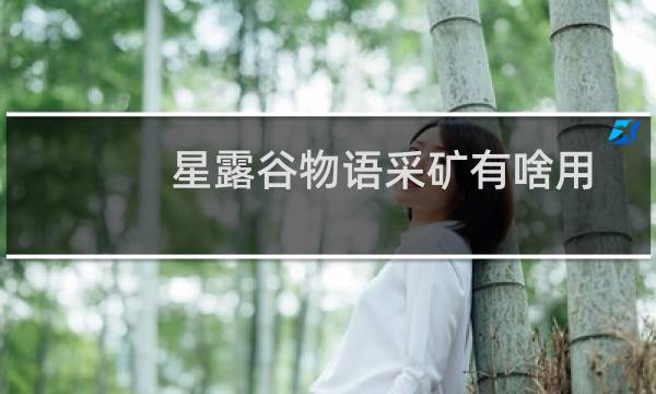 星露谷物语采矿有啥用