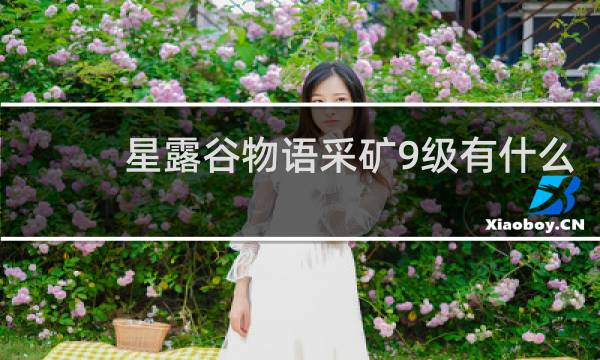 星露谷物语采矿9级有什么