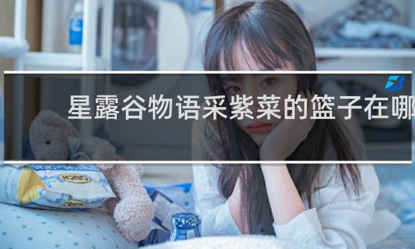 星露谷物语采紫菜的篮子在哪