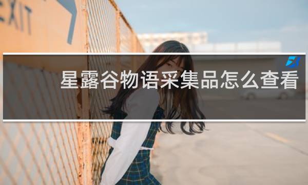 星露谷物语采集品怎么查看