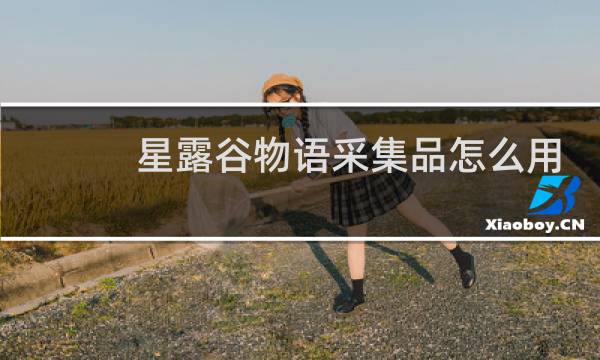 星露谷物语采集品怎么用
