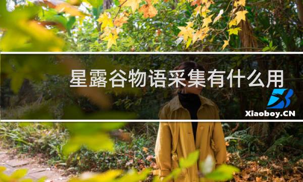 星露谷物语采集有什么用