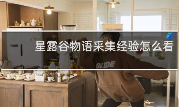 星露谷物语采集经验怎么看