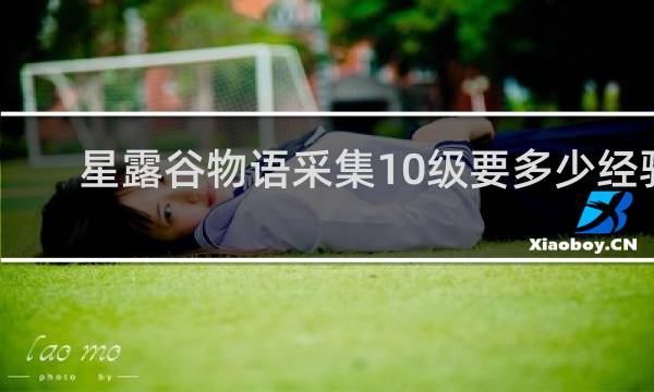 星露谷物语采集10级要多少经验