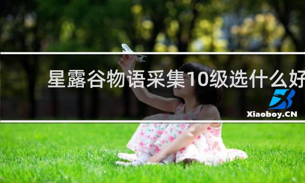 星露谷物语采集10级选什么好