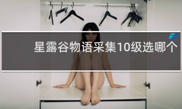 星露谷物语采集10级选哪个