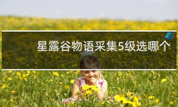 星露谷物语采集5级选哪个