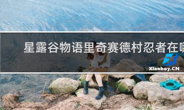 星露谷物语里奇赛德村忍者在哪