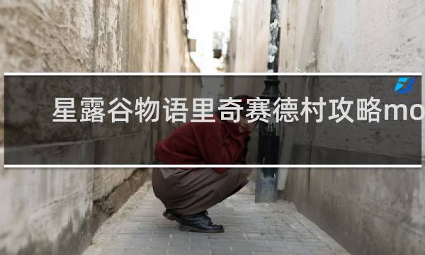 星露谷物语里奇赛德村攻略mod