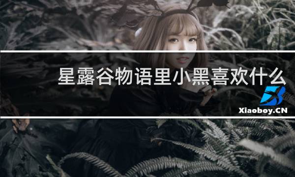星露谷物语里小黑喜欢什么