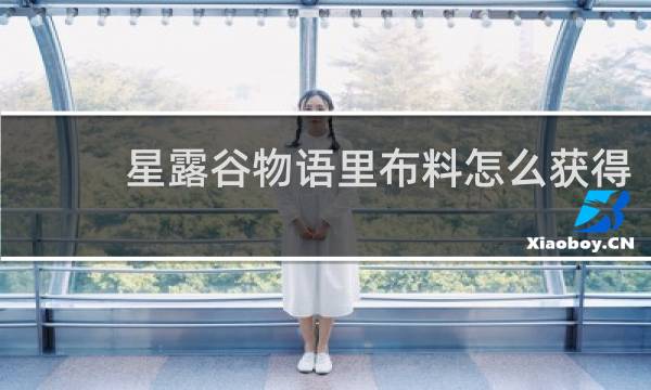 星露谷物语里布料怎么获得