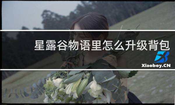 星露谷物语里怎么升级背包