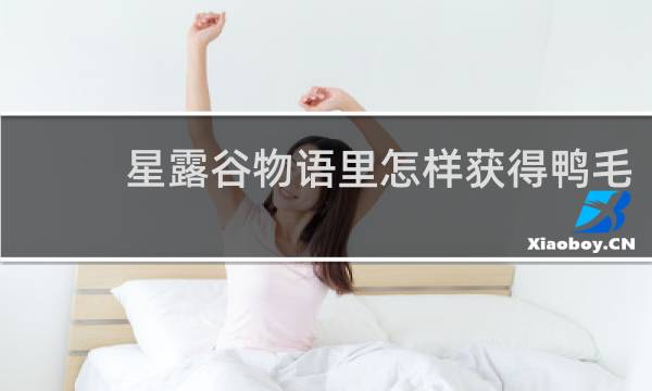 星露谷物语里怎样获得鸭毛