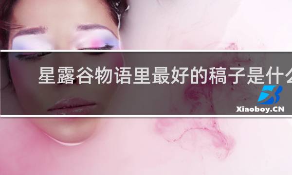 星露谷物语里最好的稿子是什么