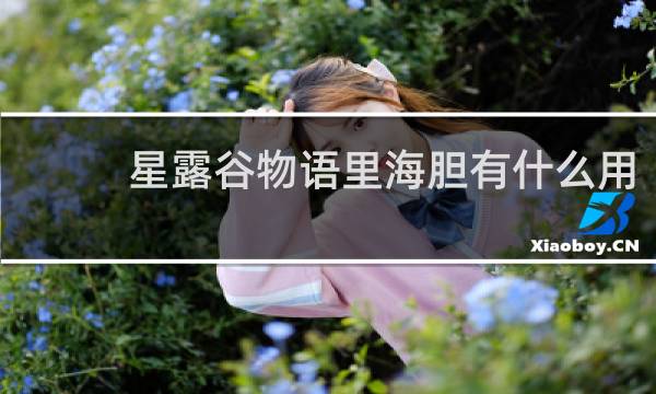 星露谷物语里海胆有什么用