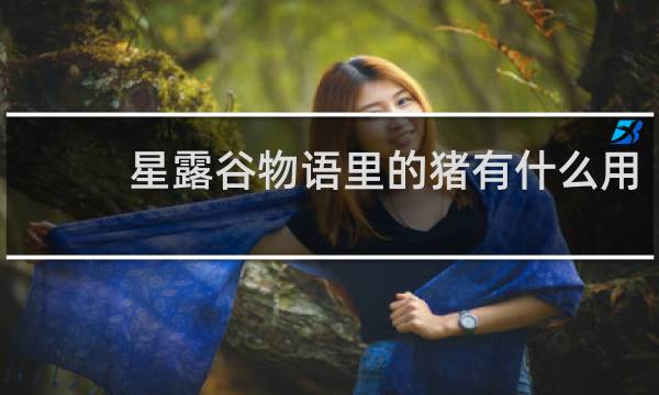 星露谷物语里的猪有什么用