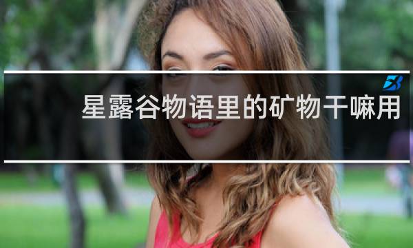 星露谷物语里的矿物干嘛用
