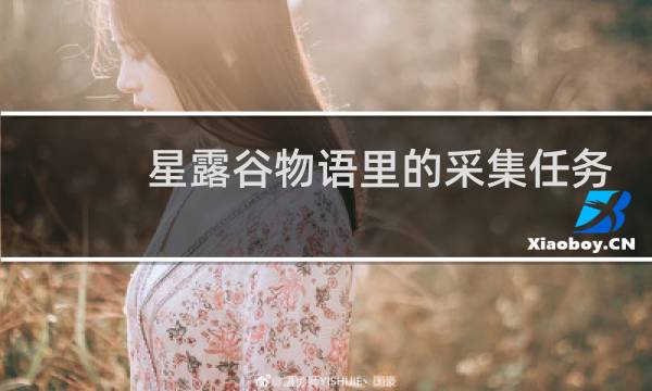 星露谷物语里的采集任务