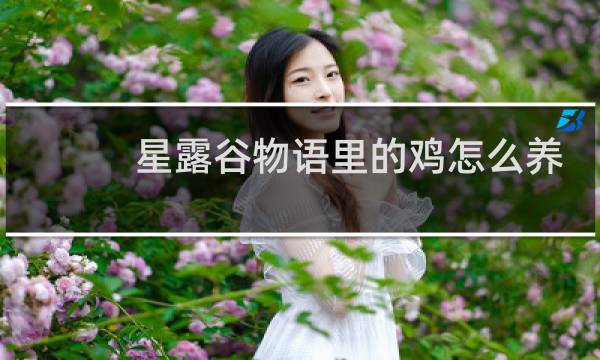 星露谷物语里的鸡怎么养