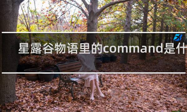星露谷物语里的command是什么