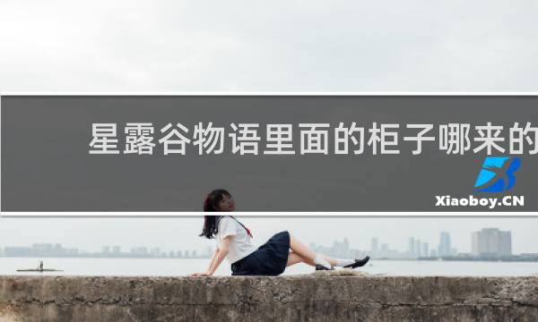 星露谷物语里面的柜子哪来的
