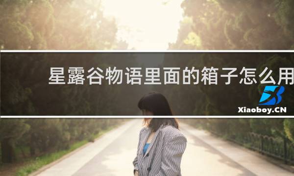 星露谷物语里面的箱子怎么用