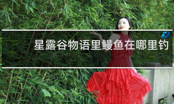 星露谷物语里鳗鱼在哪里钓