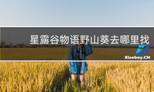 星露谷物语野山葵去哪里找