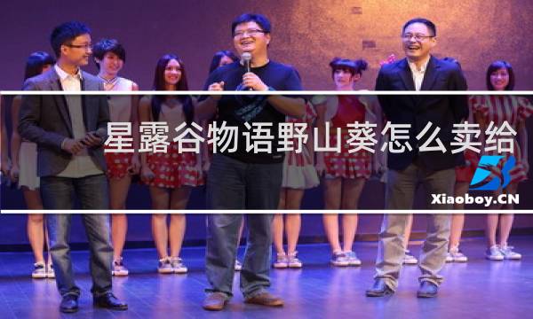 星露谷物语野山葵怎么卖给