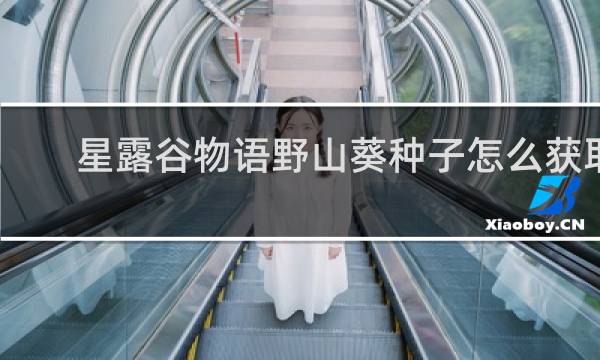 星露谷物语野山葵种子怎么获取