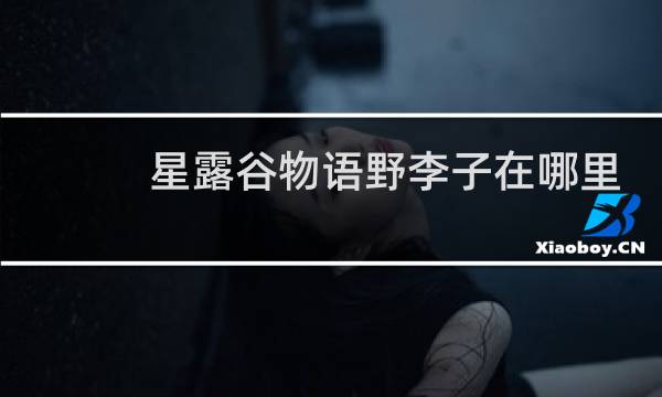 星露谷物语野李子在哪里