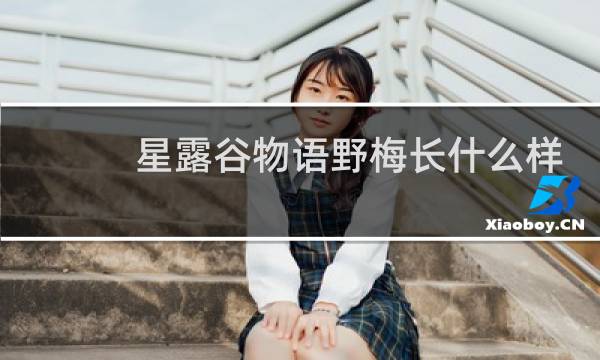 星露谷物语野梅长什么样