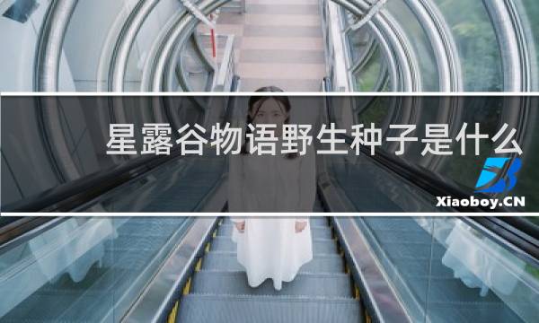 星露谷物语野生种子是什么