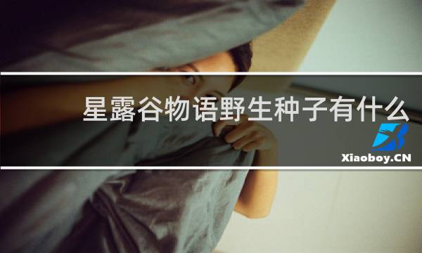 星露谷物语野生种子有什么