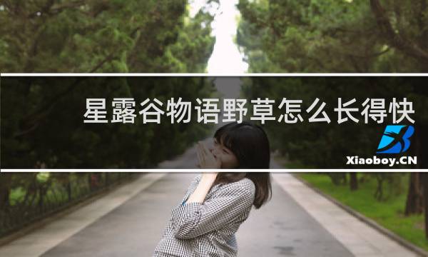 星露谷物语野草怎么长得快