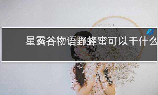 星露谷物语野蜂蜜可以干什么